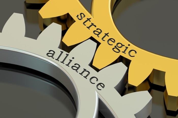 Alliance strategic definition types management